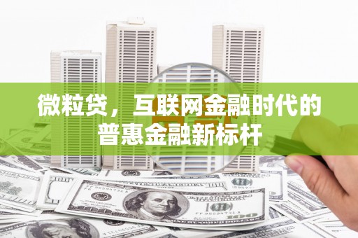 黄南微粒贷，互联网金融时代的普惠金融新标杆