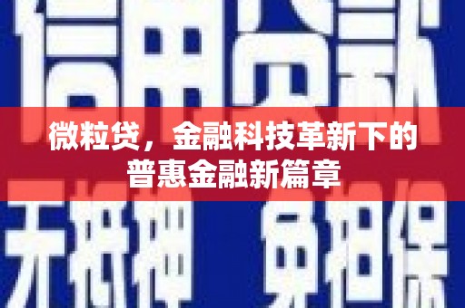 黄南微粒贷，金融科技革新下的普惠金融新篇章