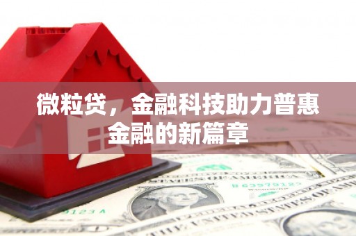 黄南微粒贷，金融科技助力普惠金融的新篇章