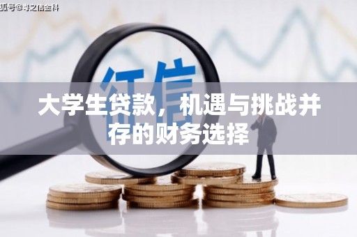 黄南大学生贷款，机遇与挑战并存的财务选择