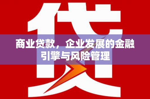 黄南商业贷款，企业发展的金融引擎与风险管理
