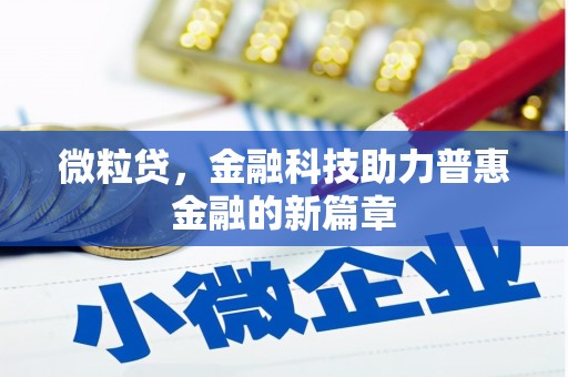 黄南微粒贷，金融科技助力普惠金融的新篇章