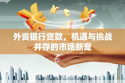 黄南外资银行贷款，机遇与挑战并存的市场新宠