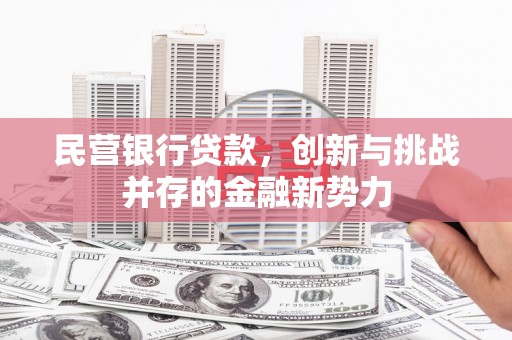 黄南民营银行贷款，创新与挑战并存的金融新势力