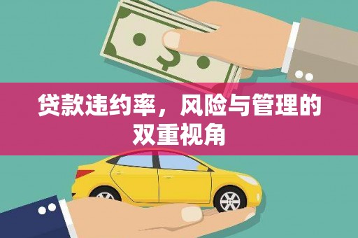 黄南贷款违约率，风险与管理的双重视角