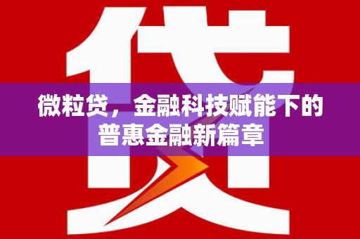 黄南微粒贷，金融科技赋能下的普惠金融新篇章