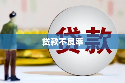 黄南贷款不良率