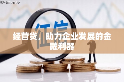 黄南经营贷，助力企业发展的金融利器