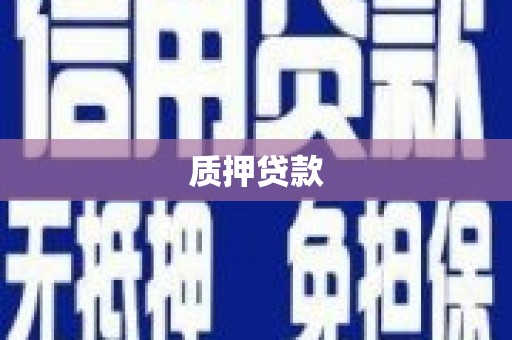 黄南质押贷款