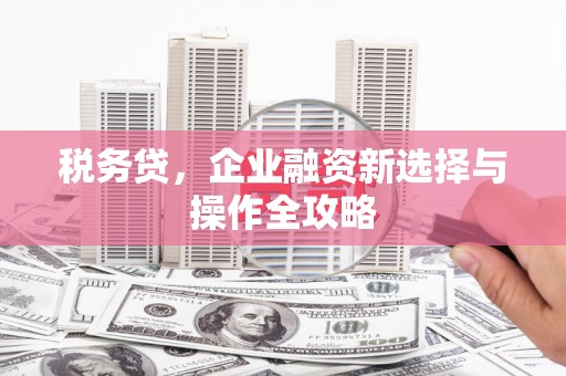 黄南税务贷，企业融资新选择与操作全攻略