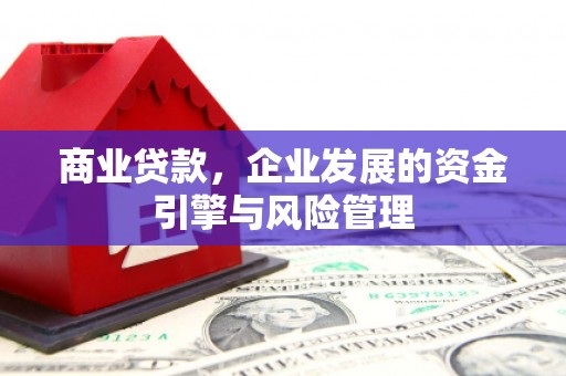 黄南商业贷款，企业发展的资金引擎与风险管理