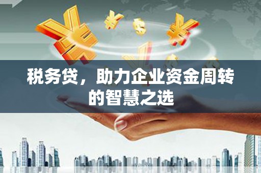 黄南税务贷，助力企业资金周转的智慧之选