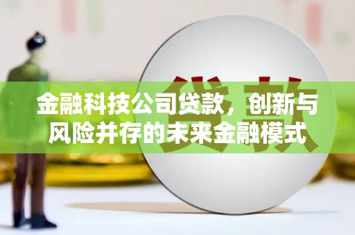 黄南金融科技公司贷款，创新与风险并存的未来金融模式