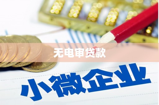 黄南无电审贷款