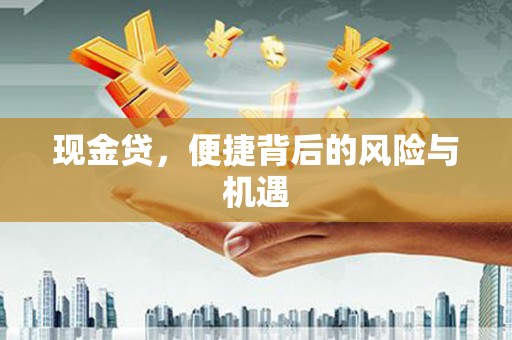黄南现金贷，便捷背后的风险与机遇