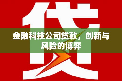黄南金融科技公司贷款，创新与风险的博弈