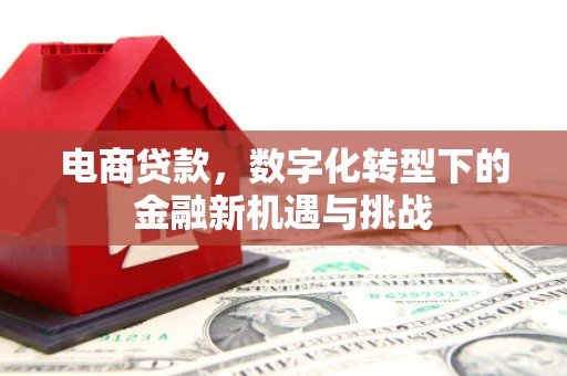 黄南电商贷款，数字化转型下的金融新机遇与挑战