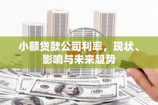 黄南小额贷款公司利率，现状、影响与未来趋势