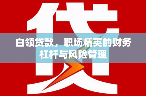 黄南白领贷款，职场精英的财务杠杆与风险管理