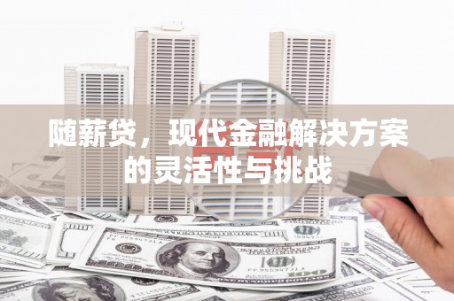 黄南随薪贷，现代金融解决方案的灵活性与挑战