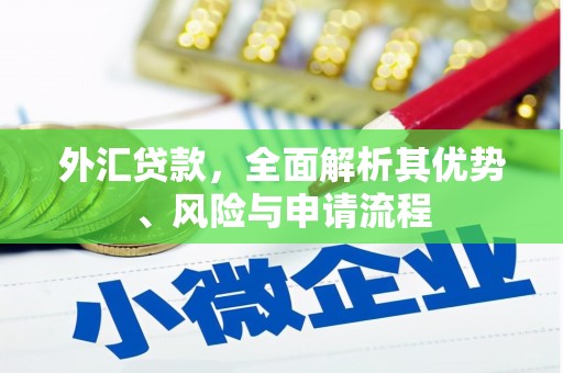 黄南外汇贷款，全面解析其优势、风险与申请流程