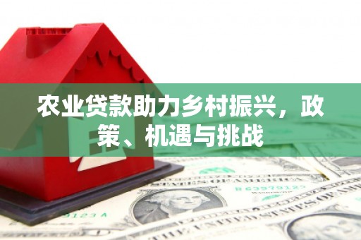 黄南农业贷款助力乡村振兴，政策、机遇与挑战