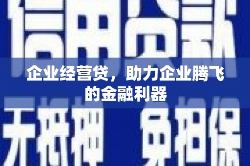 黄南企业经营贷，助力企业腾飞的金融利器