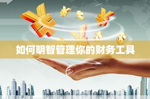 黄南如何明智管理你的财务工具