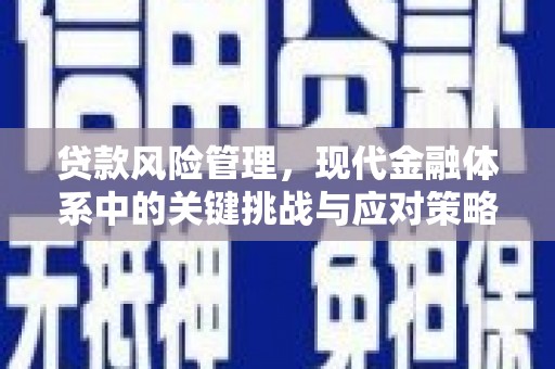 黄南贷款风险管理，现代金融体系中的关键挑战与应对策略