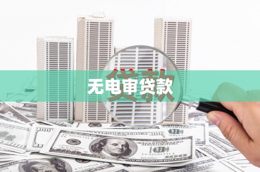 黄南无电审贷款