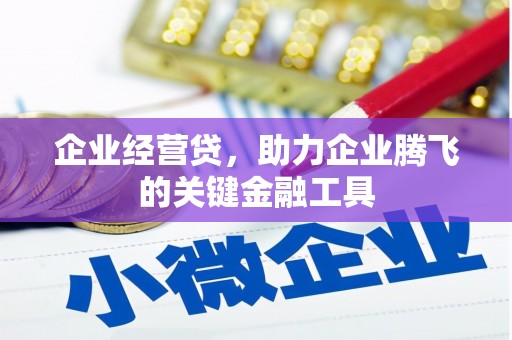 黄南企业经营贷，助力企业腾飞的关键金融工具