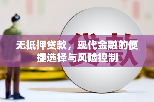 黄南无抵押贷款，现代金融的便捷选择与风险控制