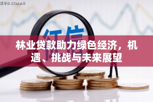 黄南林业贷款助力绿色经济，机遇、挑战与未来展望