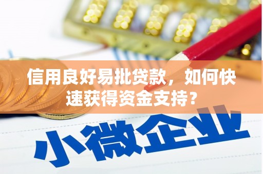 黄南信用良好易批贷款，如何快速获得资金支持？