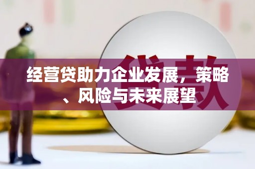 黄南经营贷助力企业发展，策略、风险与未来展望