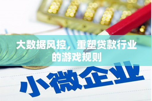 黄南大数据风控，重塑贷款行业的游戏规则