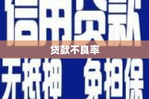 黄南贷款不良率