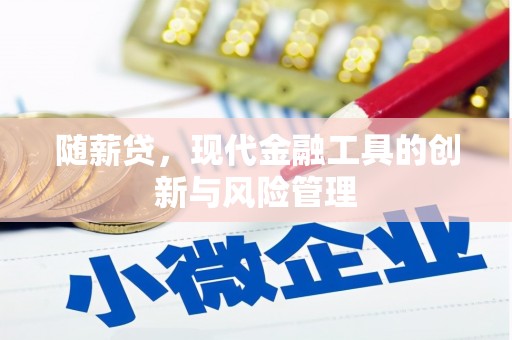 黄南随薪贷，现代金融工具的创新与风险管理