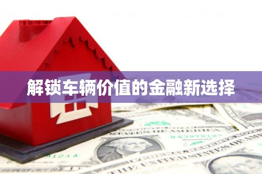 黄南解锁车辆价值的金融新选择