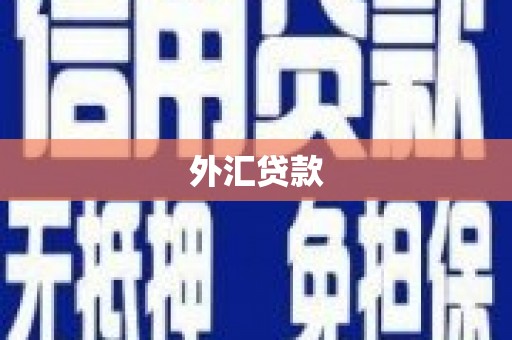 黄南外汇贷款