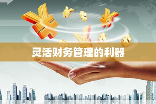 黄南灵活财务管理的利器
