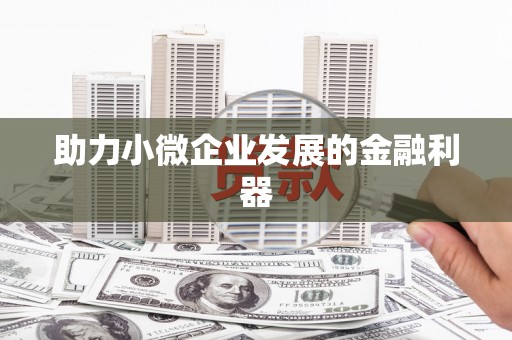 黄南助力小微企业发展的金融利器