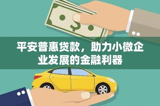 黄南平安普惠贷款，助力小微企业发展的金融利器