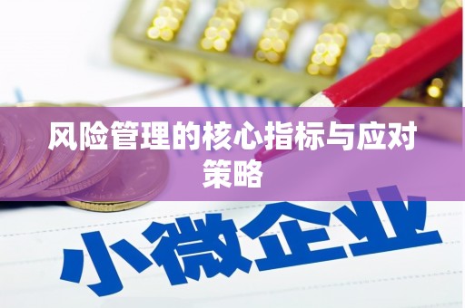 黄南风险管理的核心指标与应对策略
