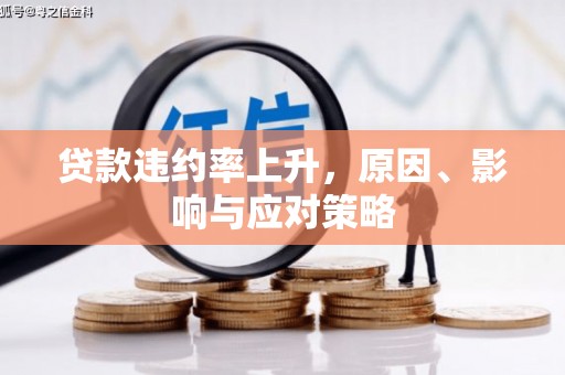 黄南贷款违约率上升，原因、影响与应对策略