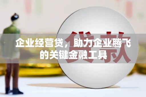 黄南企业经营贷，助力企业腾飞的关键金融工具