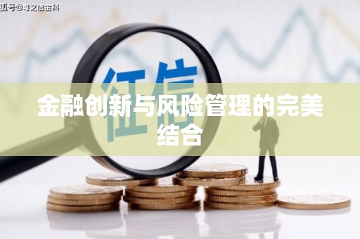 黄南金融创新与风险管理的完美结合