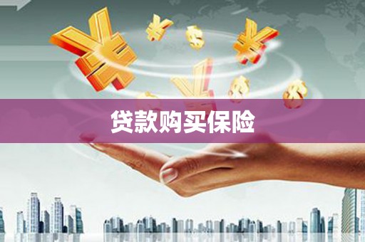 黄南贷款购买保险