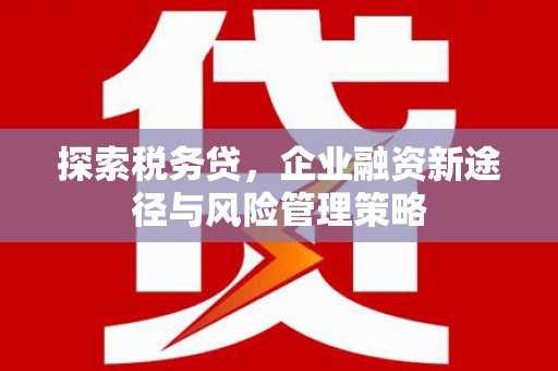 黄南探索税务贷，企业融资新途径与风险管理策略