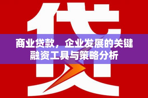 黄南商业贷款，企业发展的关键融资工具与策略分析
